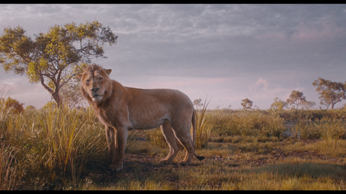 589219263 00705 1770.png