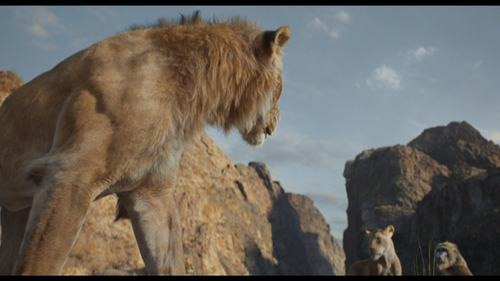 589219301 00705 3540.png