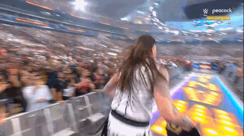 GIF 4 20 2025 7 40 01 PM.gif