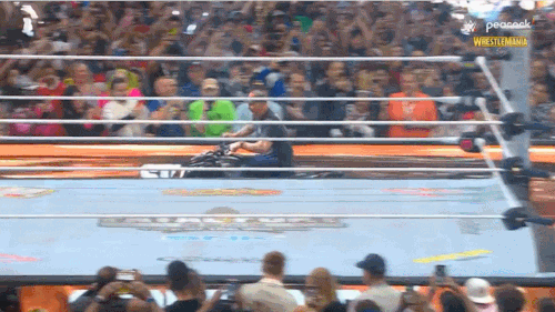 GIF 4 20 2025 8 56 19 PM.gif