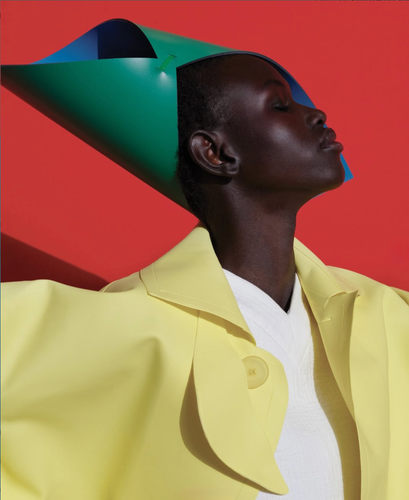 Rejoice Chuol by Viviane Sassen WSJ Magazine 7.png