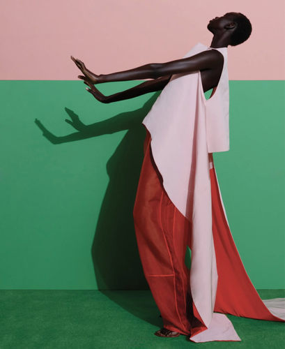 Rejoice Chuol by Viviane Sassen WSJ Magazine 4.png