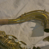 P1110644.JPG