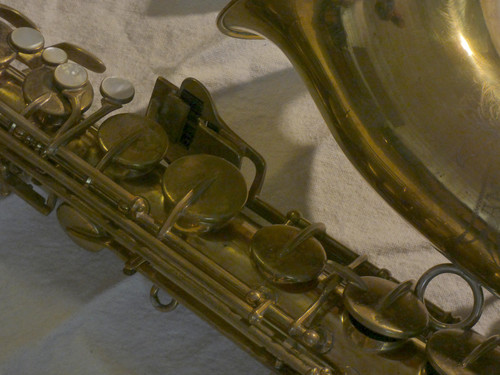 P1110645.JPG.jpg