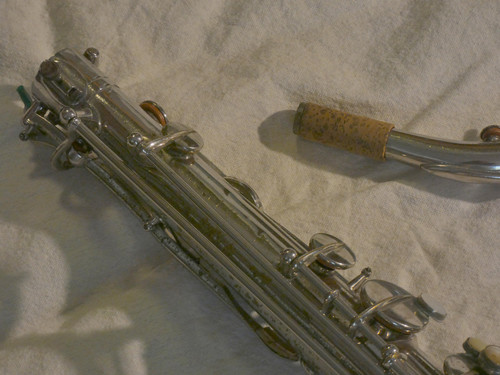P1110663.JPG.jpg