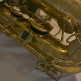P1110646.JPG