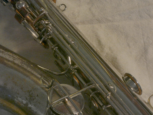 P1110675.JPG.jpg