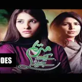 t271 marium kaisay jiye card