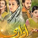 t269 udaari card