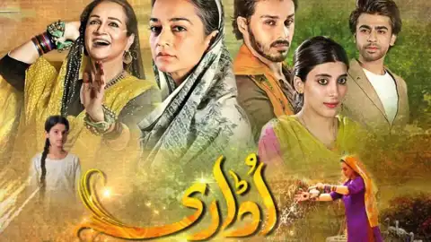 t269 udaari card.webp