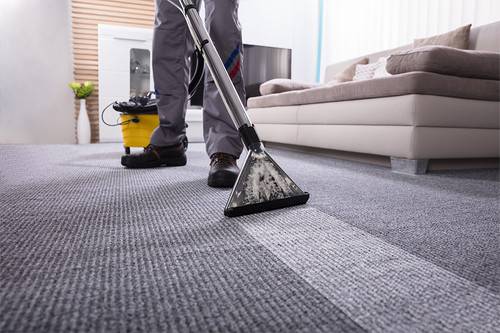 Professional-carpetcleaning.jpg