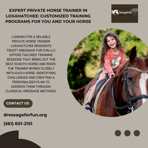 Expert Private Horse Trainer in Loxahatchee Customized Training Programs for You and Your Horse.jpg