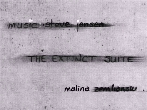 vlcsnap 2025 04 20 21h18m18s887.png