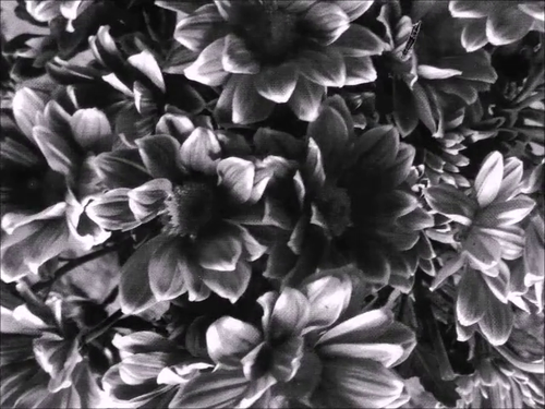 vlcsnap 2025 04 20 21h18m49s893.png