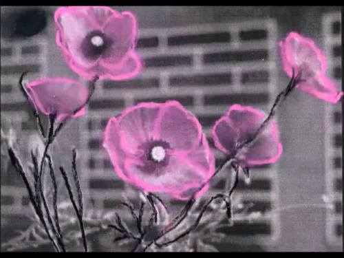 vlcsnap 2025 04 20 21h44m48s713.png