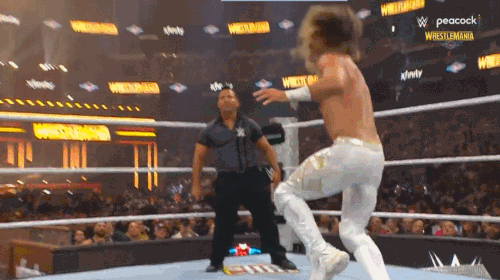 GIF 4 19 2025 9 46 28 PM.gif