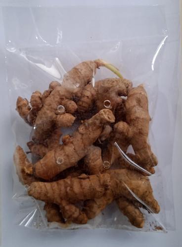 8161HEr0ppS. SL1500 .jpg