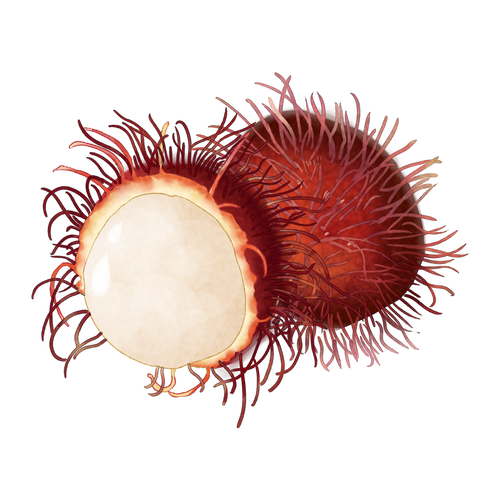 Lovepik com 401036721 fruit red maotan.png