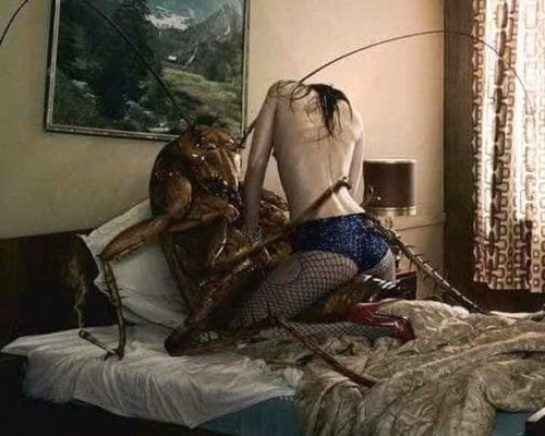 FB IMG 15405369302218494