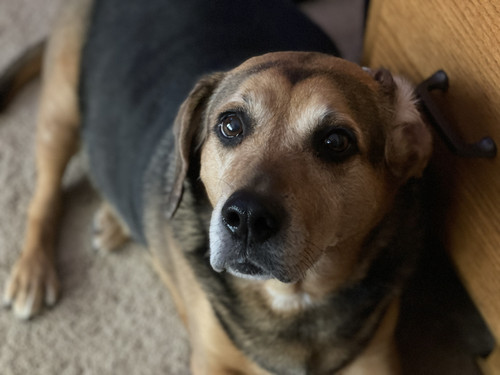 61F79779 B9A4 4F40 AF4B 58794D5EFD1A