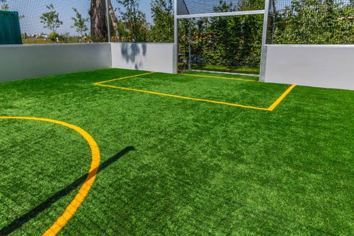 Artificial Grass Landscaping Ideas In Marin County - Marion Landscape Construction.jpg