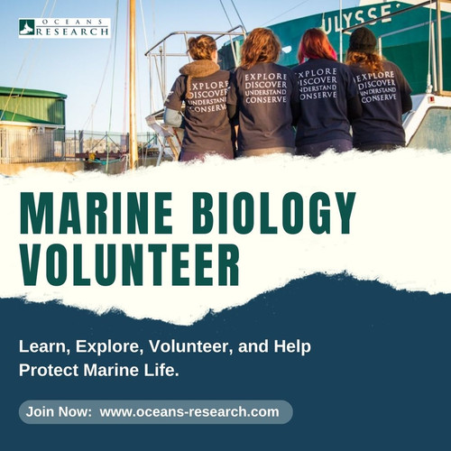 Marine Biology Volunteer.jpg