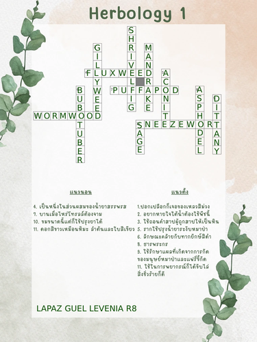 image (29).png