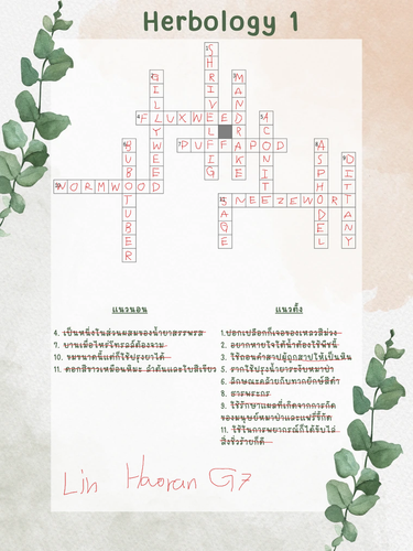 image (28).png