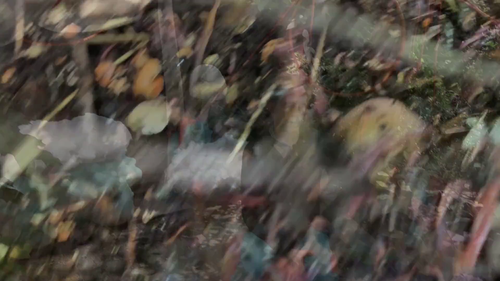 vlcsnap 2025 04 20 02h12m34s566.png