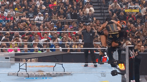 GIF 4 20 2025 7 01 00 PM.gif