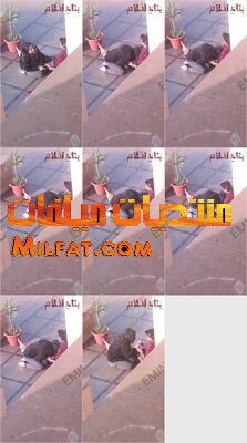 بت شرموطة مع صاحبها في الجامعة واخدها مكان فاضي مطلعلها زبره تمصله و تضربله عشرة ع السريع