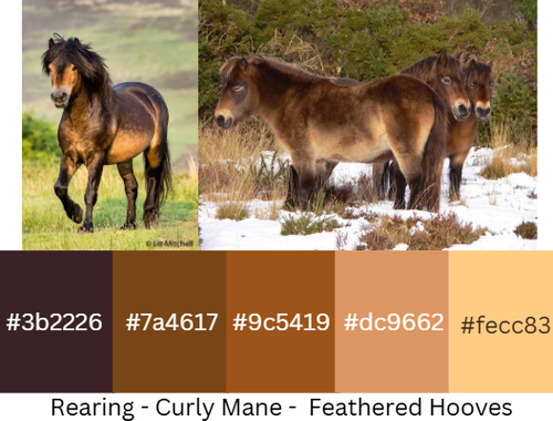 Exmoor Colored Draft.png