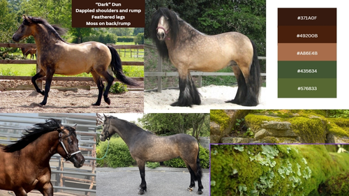 Dark Dun Mossy LE.png