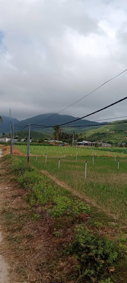 480657069 1128010268803527 4201423355426925118 n.jpg