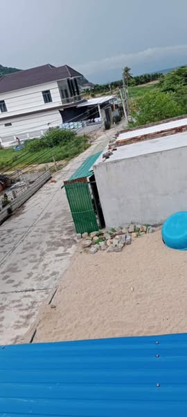 481210409 1128012662136621 4859624209236082873 n.jpg