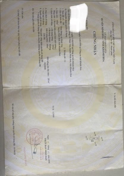 463606501 1042674530670435 8715159254441025834 n.jpg