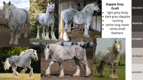 Light Grey Dapple Draft