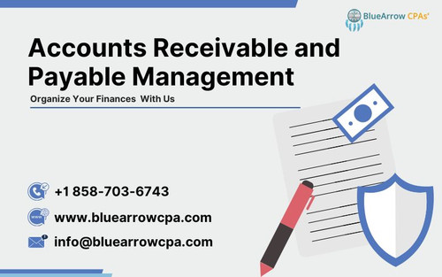 Accounts Receivable and Payable Management.jpg