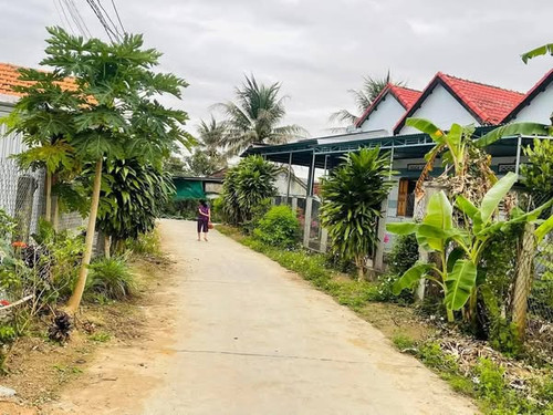 482073133 3850906228459411 4116297817305148487 n.jpg