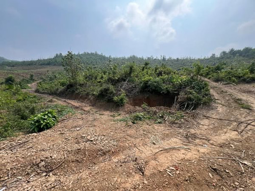 482027534 2954677431368210 6681065150197889088 n.jpg