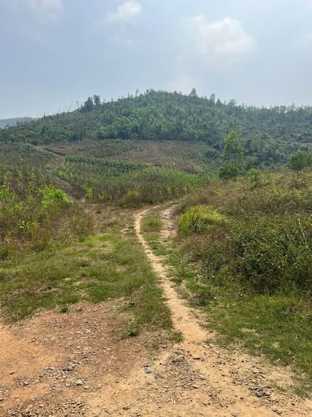 481449398 2954677358034884 6578174215305075045 n.jpg