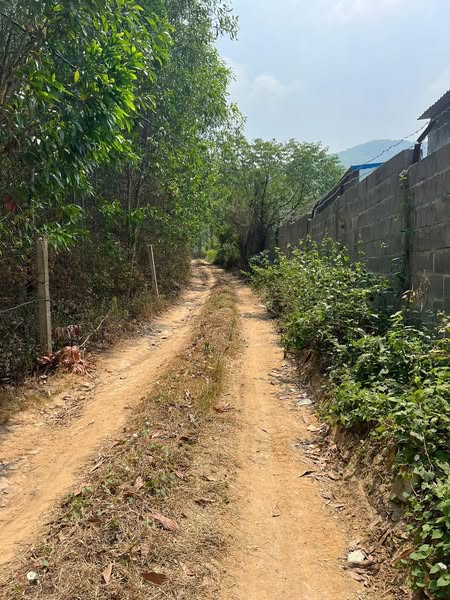 482012157 2954677351368218 6689365165397504676 n.jpg