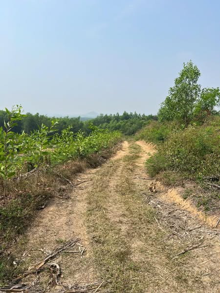 481768829 2954677408034879 2708474221540738364 n.jpg