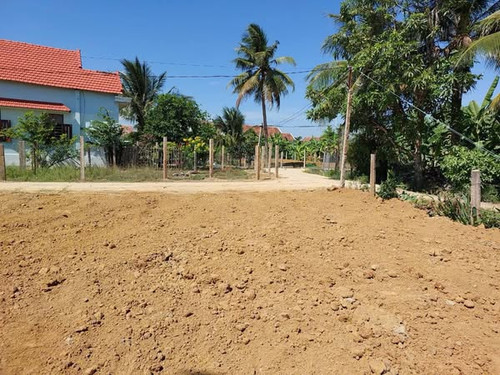 481311494 2510093735988362 7158431861941204869 n.jpg