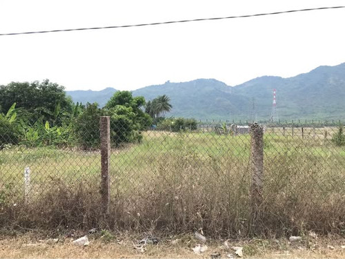 481565847 2994186727424471 8663470090526893420 n.jpg