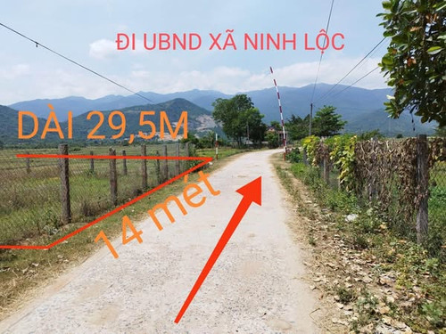 481230826 2994186704091140 8167140300454042615 n.jpg