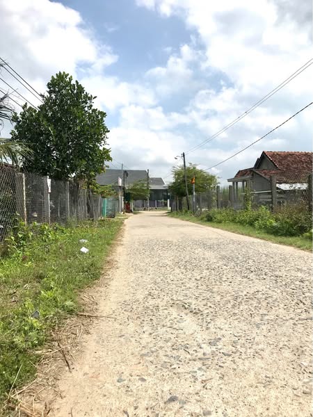 481772422 2994186724091138 2583669756110650043 n.jpg