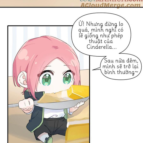 33.jpg