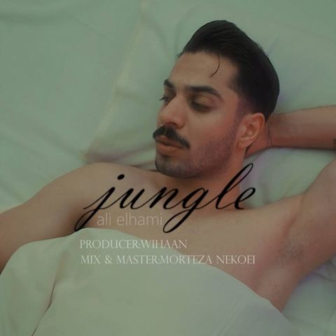 دانلود آهنگ علی الهامی به نام جنگل