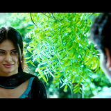 vlcsnap 2025 03 05 12h35m20s513